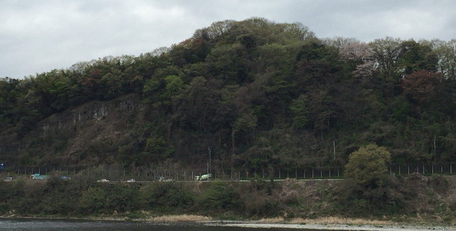 小沢古城