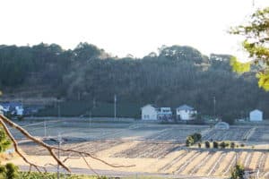 新野左馬助とは~今川家から送られた目付である新野親矩が井伊家を救った?