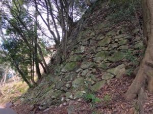八幡山城の石垣