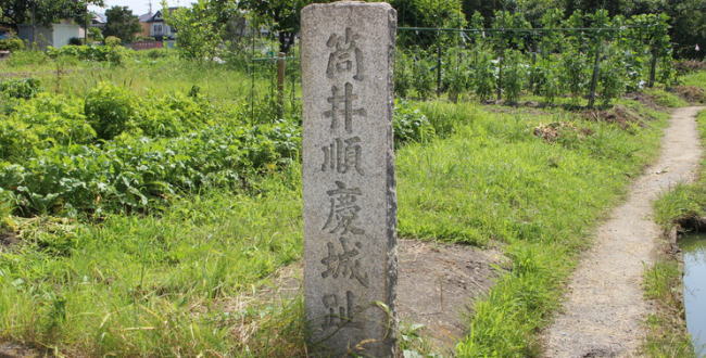 筒井順慶