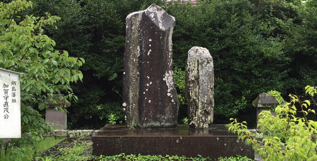 彦鶴姫・藤の方・陽泰院~内助の功だけでなく国母様と慕われた鍋島直茂の正室