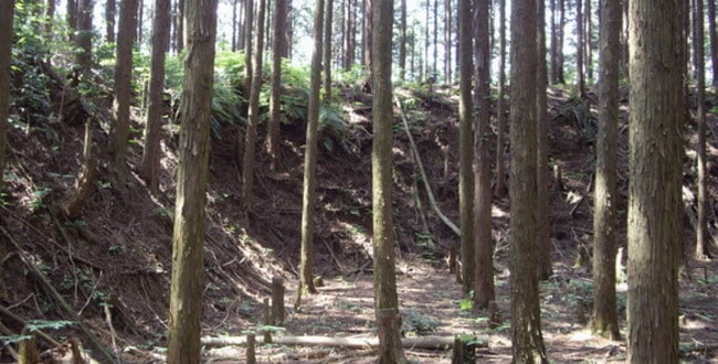 下山甲斐