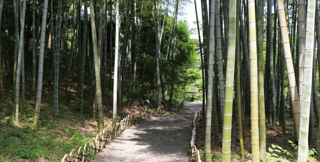 長野左京亮