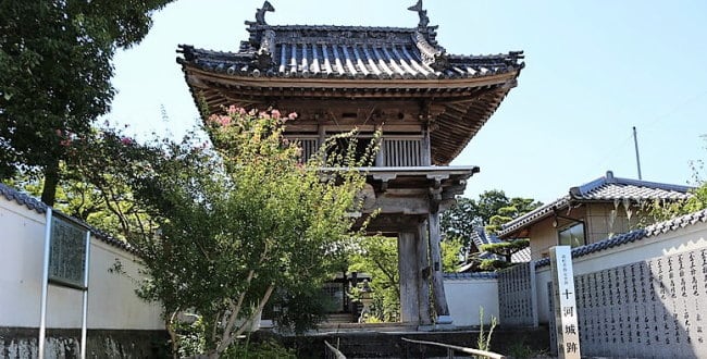 十河一存