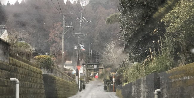 白石永仙