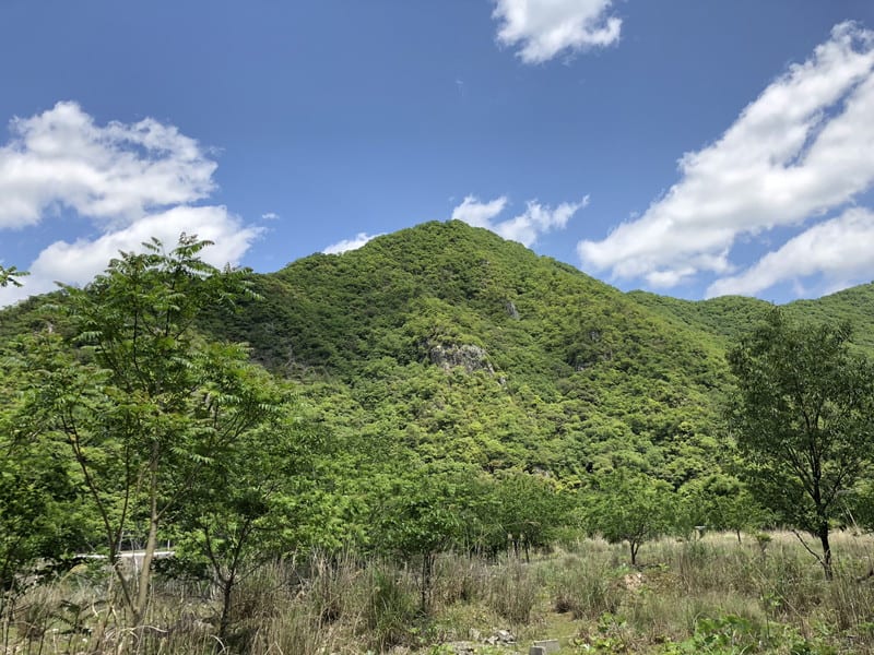 備前・天神山城