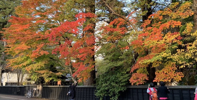 大鏡