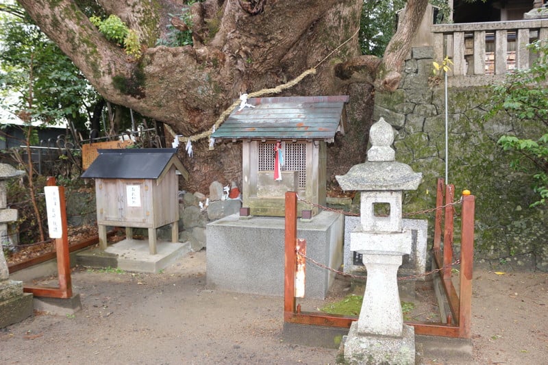 湯川直光