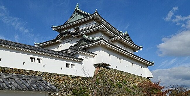 徳川頼宣