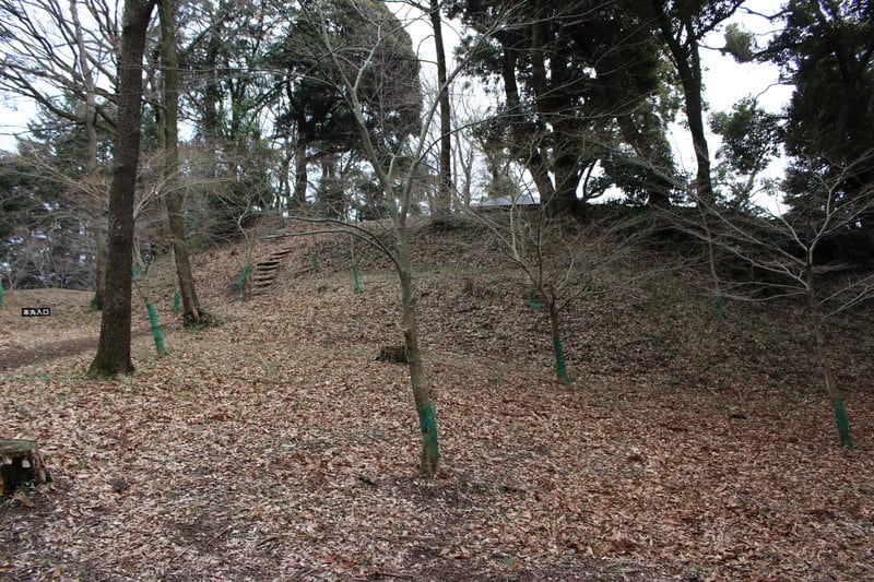 朝比奈親徳