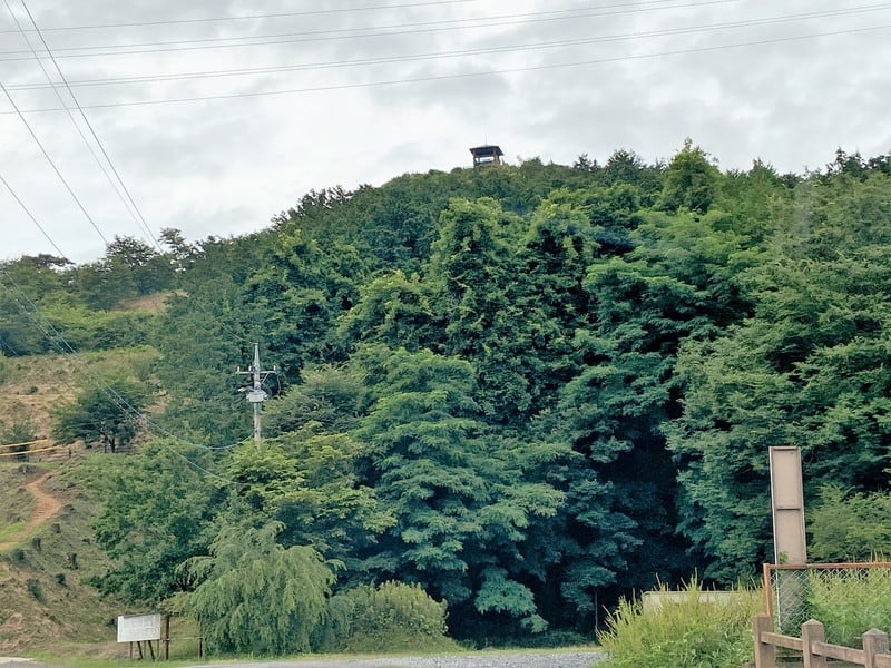 皆川広照