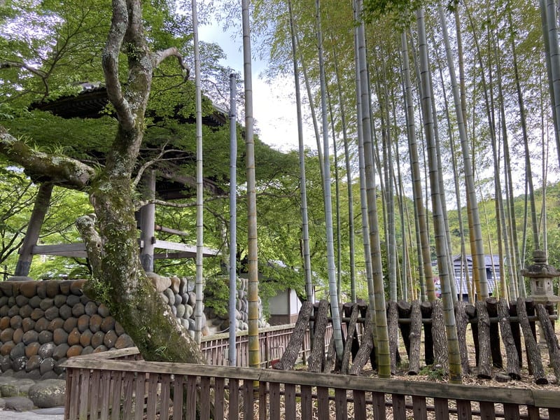 末次元康