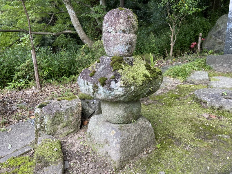 平高望(高望王)